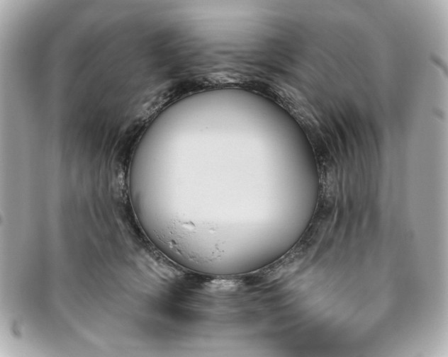 X0000096490418200802071947