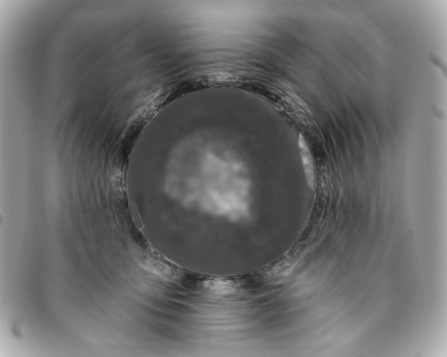 X0000096490419200802071947