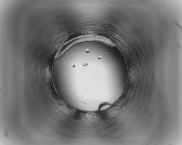 X0000096490420200802071947