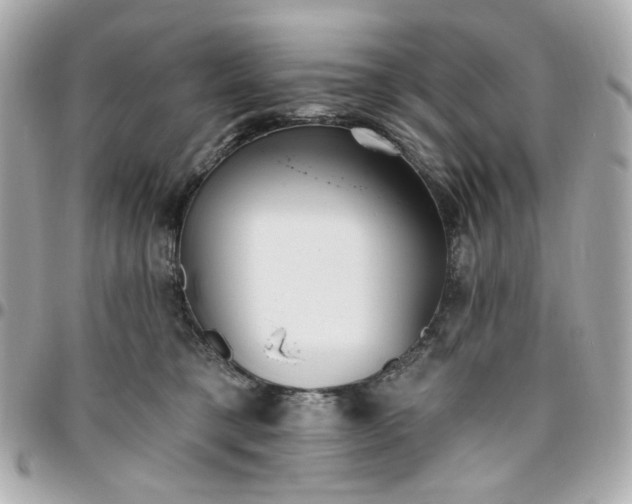 X0000096490421200802071947