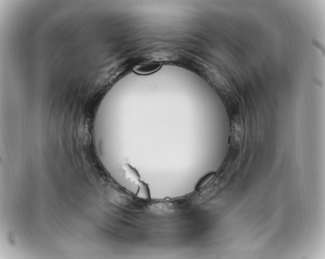 X0000096490422200802071947