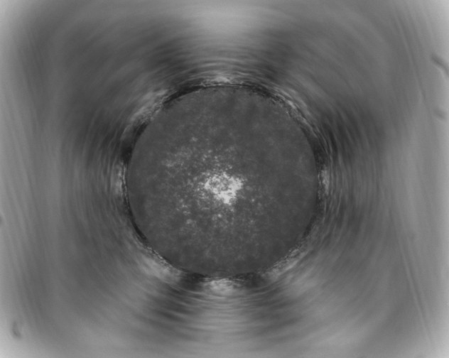 X0000096490423200802071947