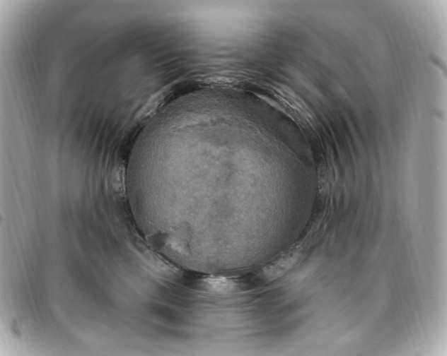 X0000096490425200802071947