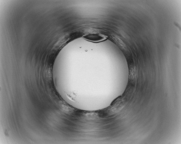 X0000096490426200802071947