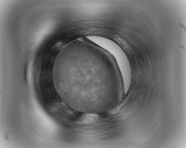 X0000096490429200802071946