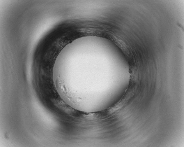 X0000096490430200802071946