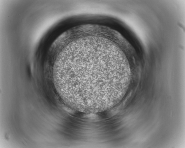 X0000096490431200802071946