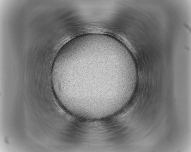 X0000096490433200802071946