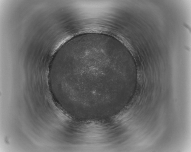 X0000096490434200802071946