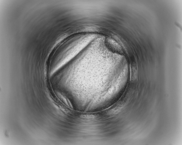 X0000096490435200802071946