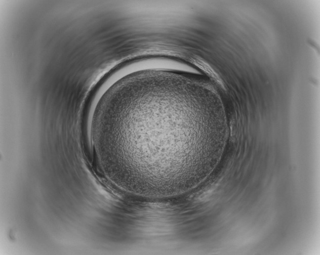 X0000096490436200802071946