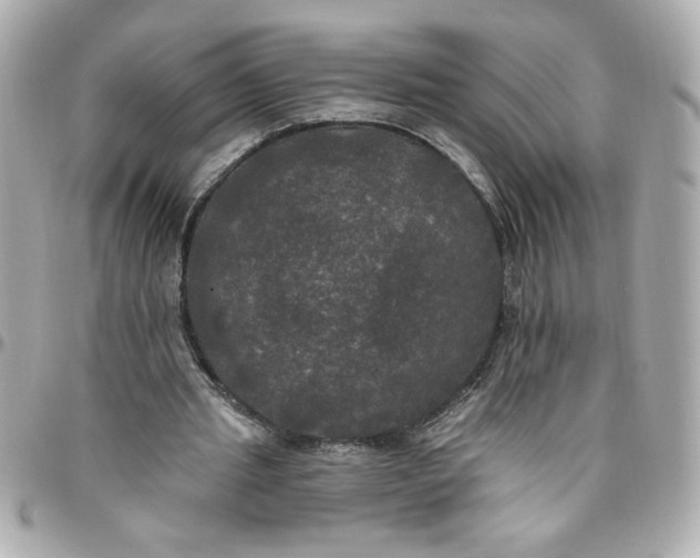 X0000096490437200802071946