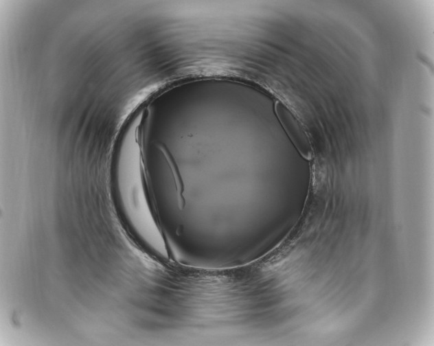 X0000096490438200802071946