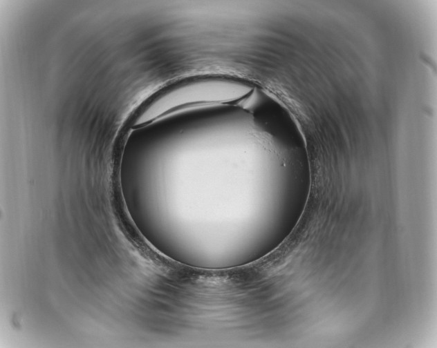 X0000096490440200802071946