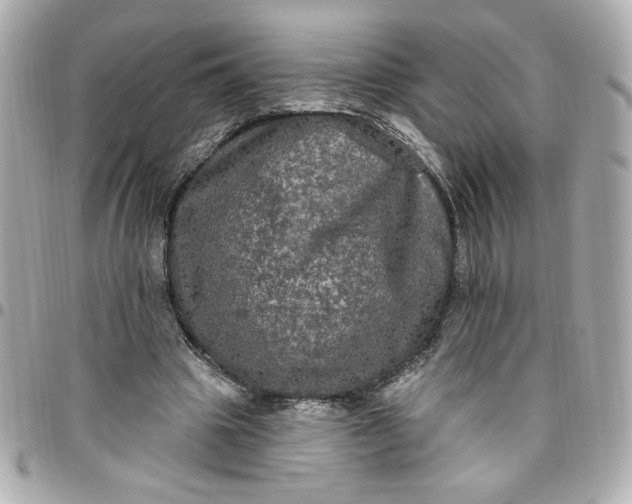 X0000096490441200802071946