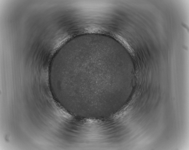 X0000096490442200802071946