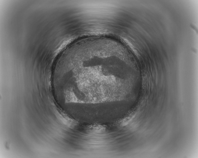 X0000096490443200802071946