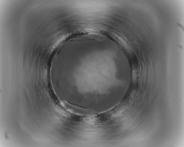 X0000096490444200802071946