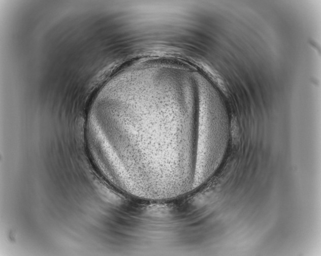 X0000096490445200802071946