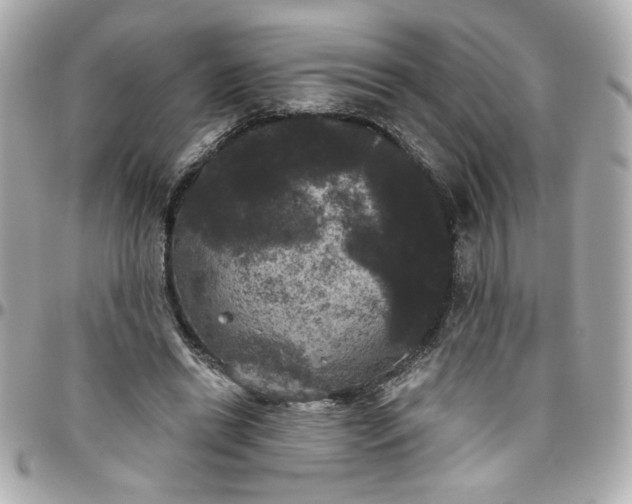 X0000096490446200802071946