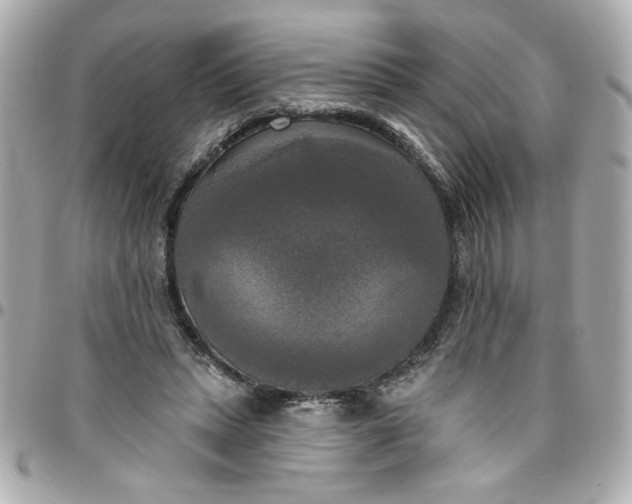 X0000096490447200802071946