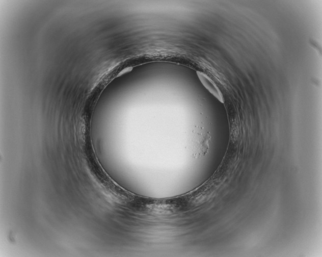 X0000096490448200802071946