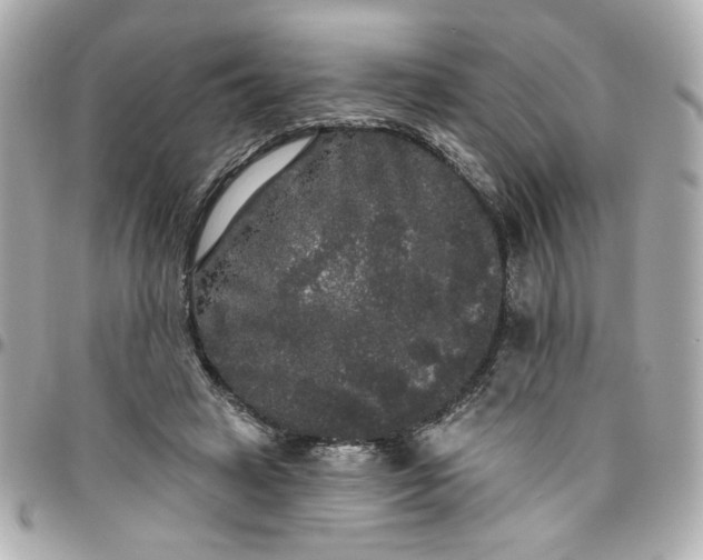 X0000096490449200802071946