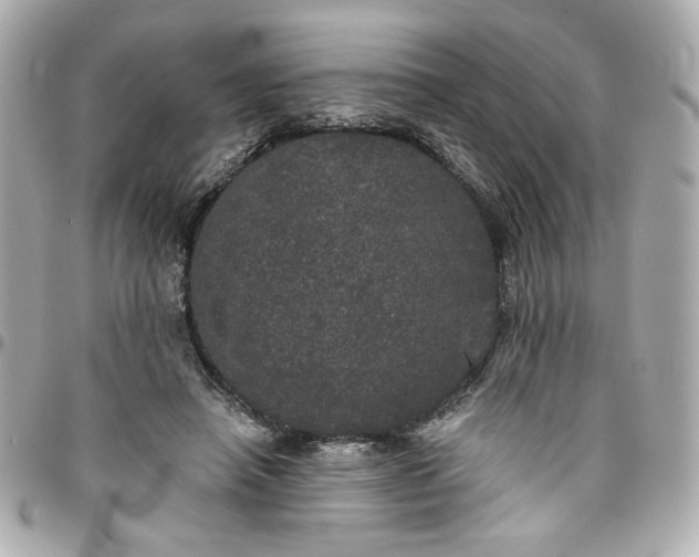 X0000096490450200802071946