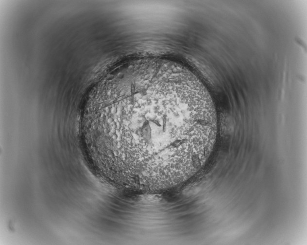 X0000096490451200802071946