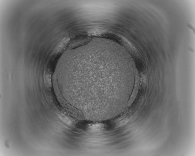 X0000096490452200802071946