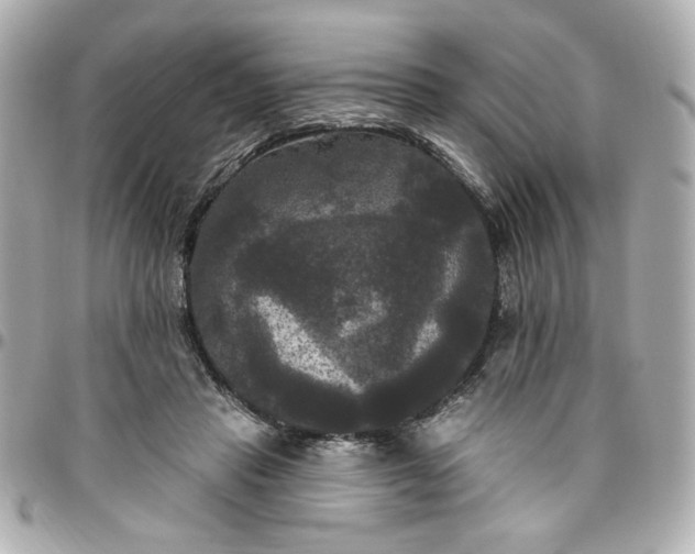 X0000096490453200802071946