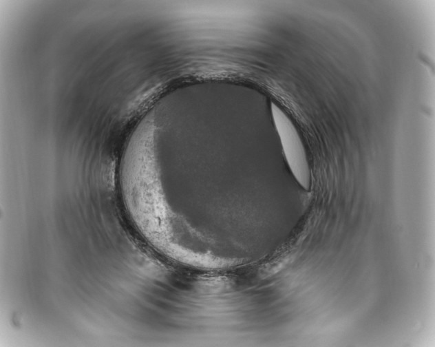 X0000096490454200802071946