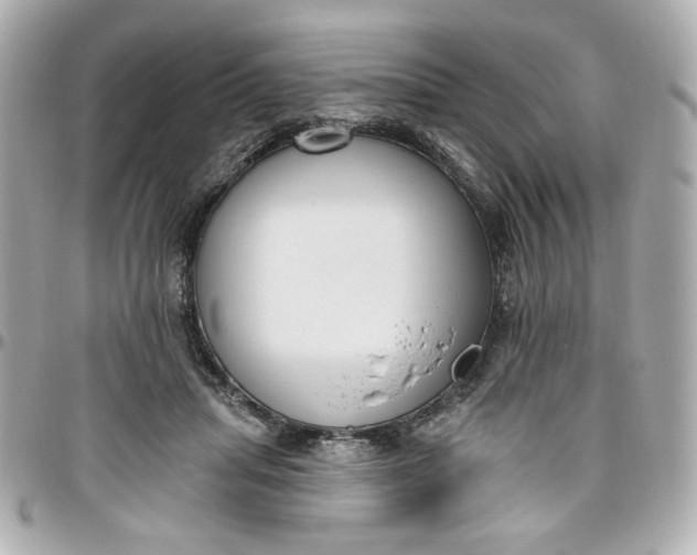 X0000096490455200802071946