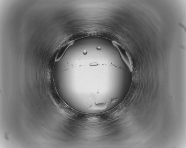 X0000096490456200802071946