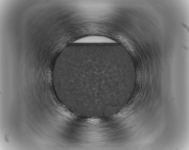 X0000096490457200802071946