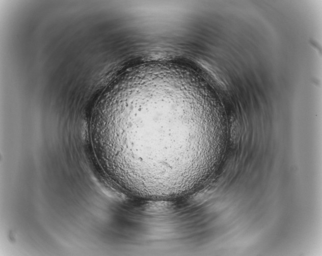 X0000096490459200802071946