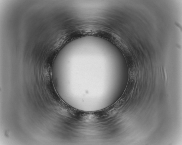 X0000096490460200802071946