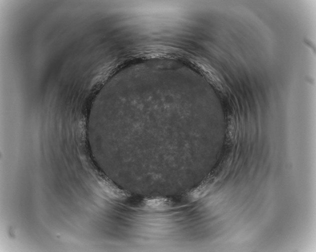 X0000096490461200802071946