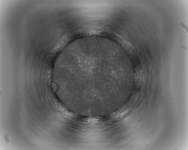 X0000096490462200802071946