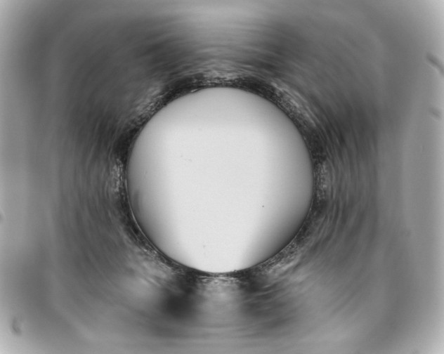 X0000096490463200802071946