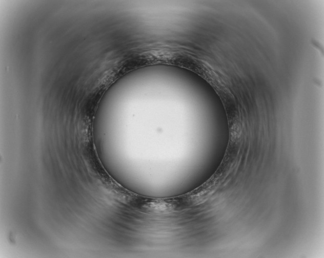 X0000096490464200802071946