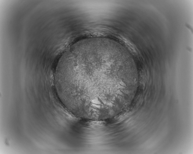 X0000096490465200802071946