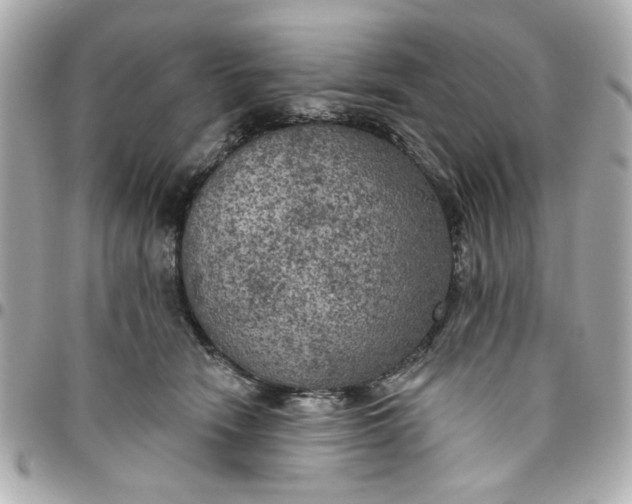 X0000096490466200802071946