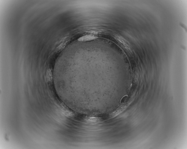 X0000096490467200802071946