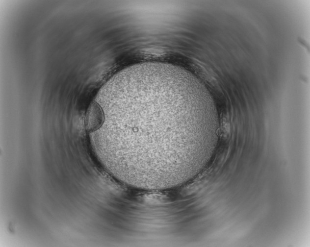 X0000096490468200802071946