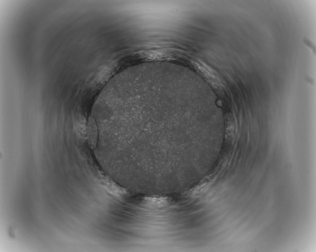 X0000096490469200802071946