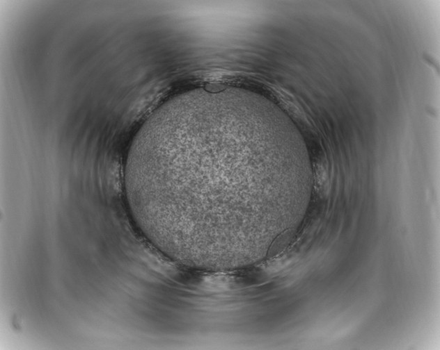 X0000096490470200802071946