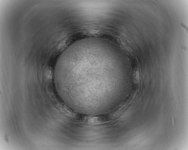 X0000096490472200802071946