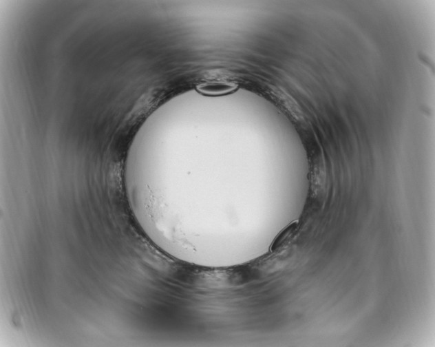 X0000096490473200802071946