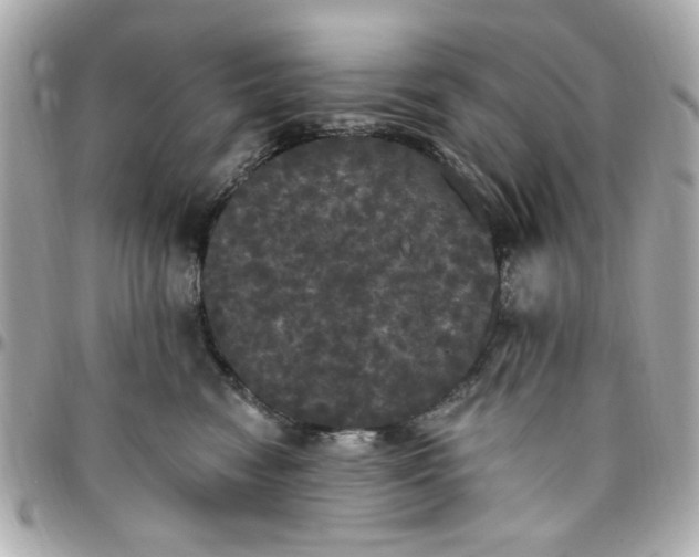 X0000096490474200802071946